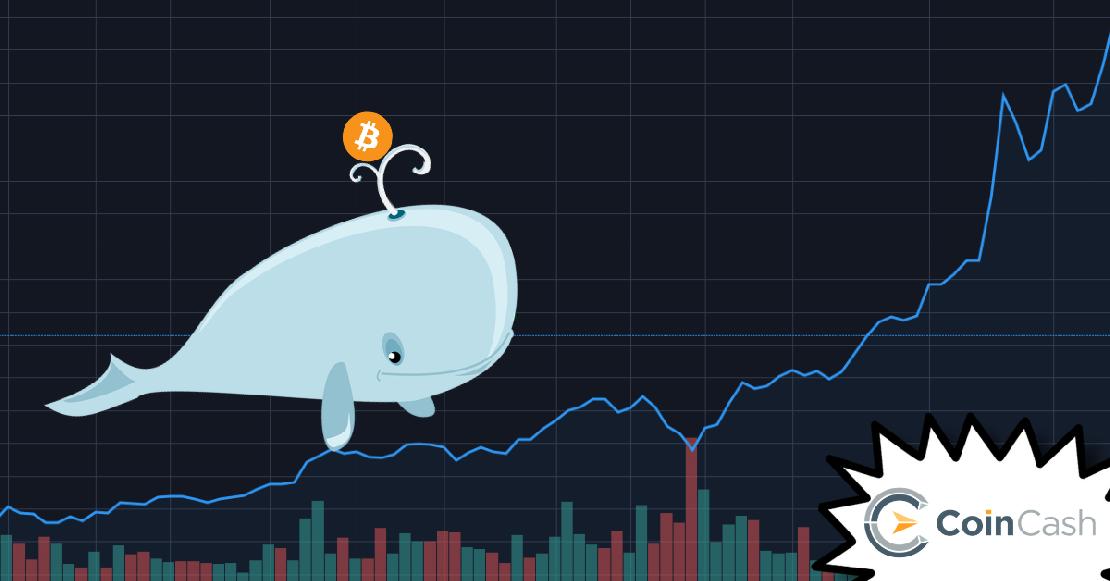 bitcoin_bálna_arfolyammal